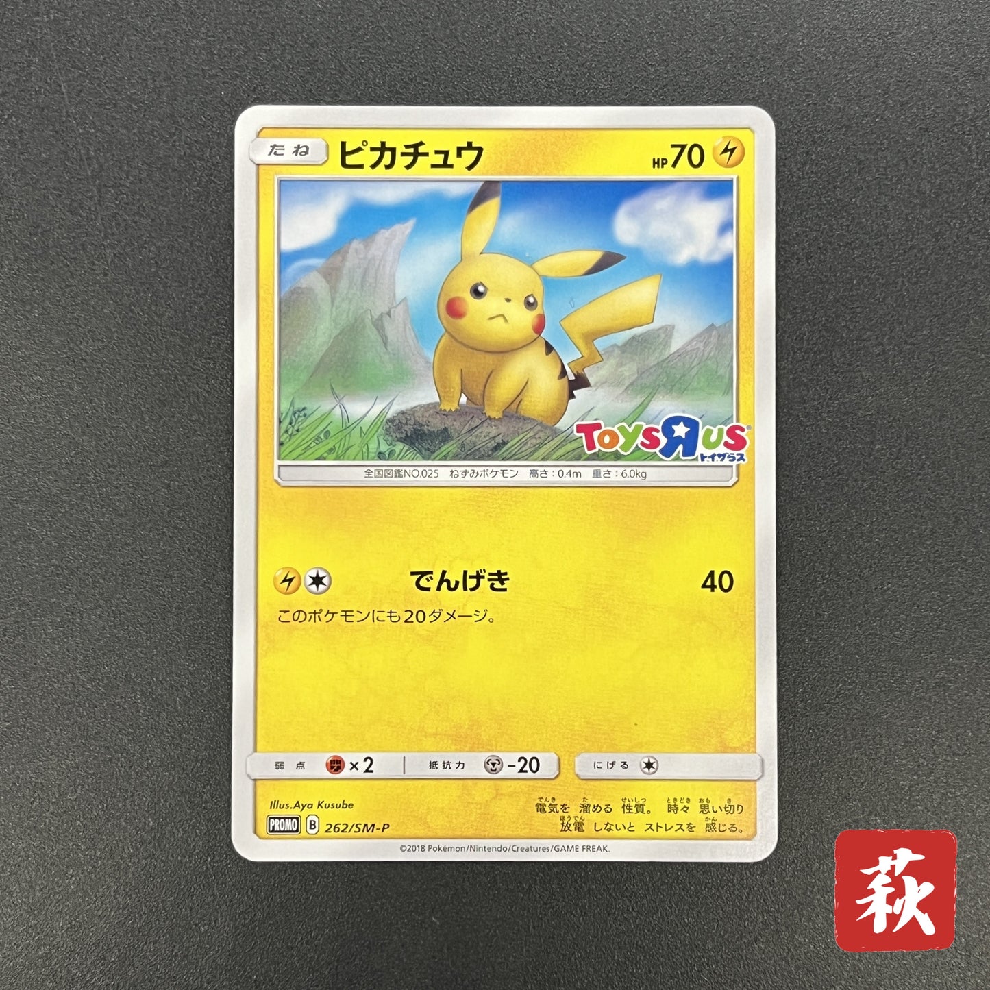 Pikachu 262/SM-P Promo GX Starter Decks Pokemon Card