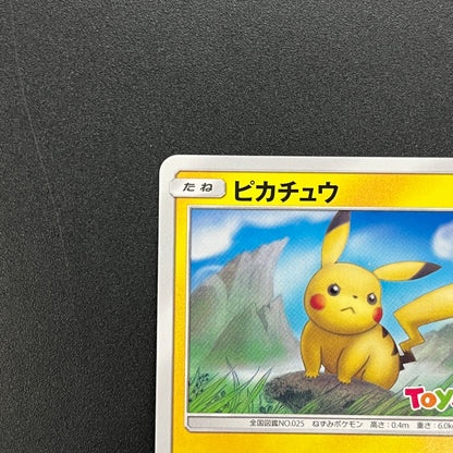 Pikachu 262/SM-P Promo GX Starter Decks Pokemon Card