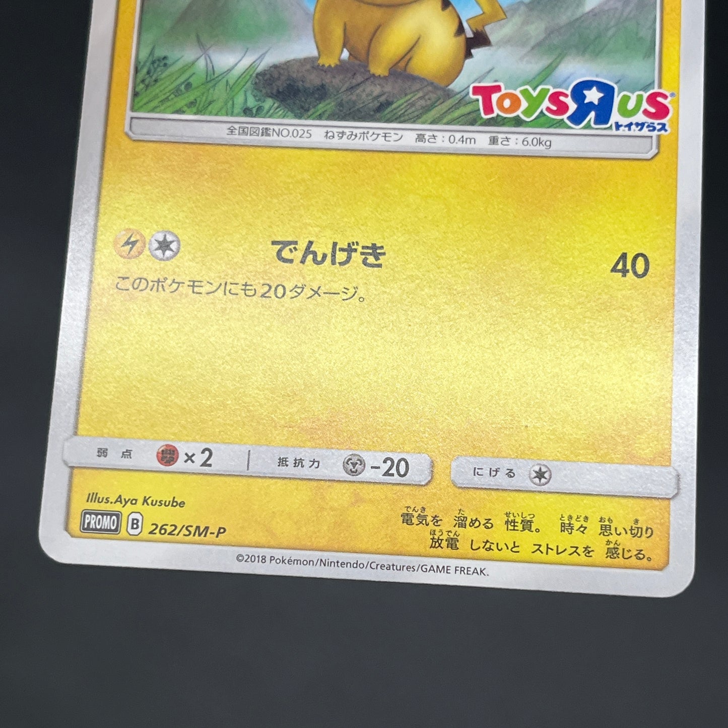 Pikachu 262/SM-P Promo GX Starter Decks Pokemon Card