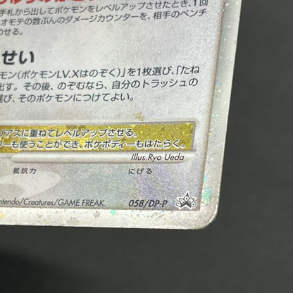 Garchomp 058/DP-P Holo Promo & DP4 Japanese Pokemon Card
