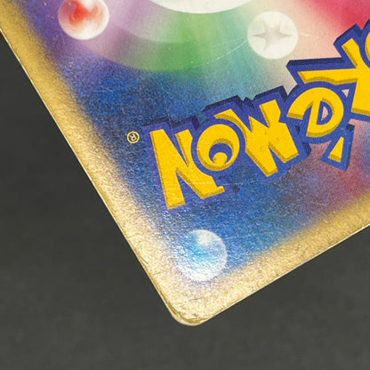 Garchomp 058/DP-P Holo Promo & DP4 Japanese Pokemon Card