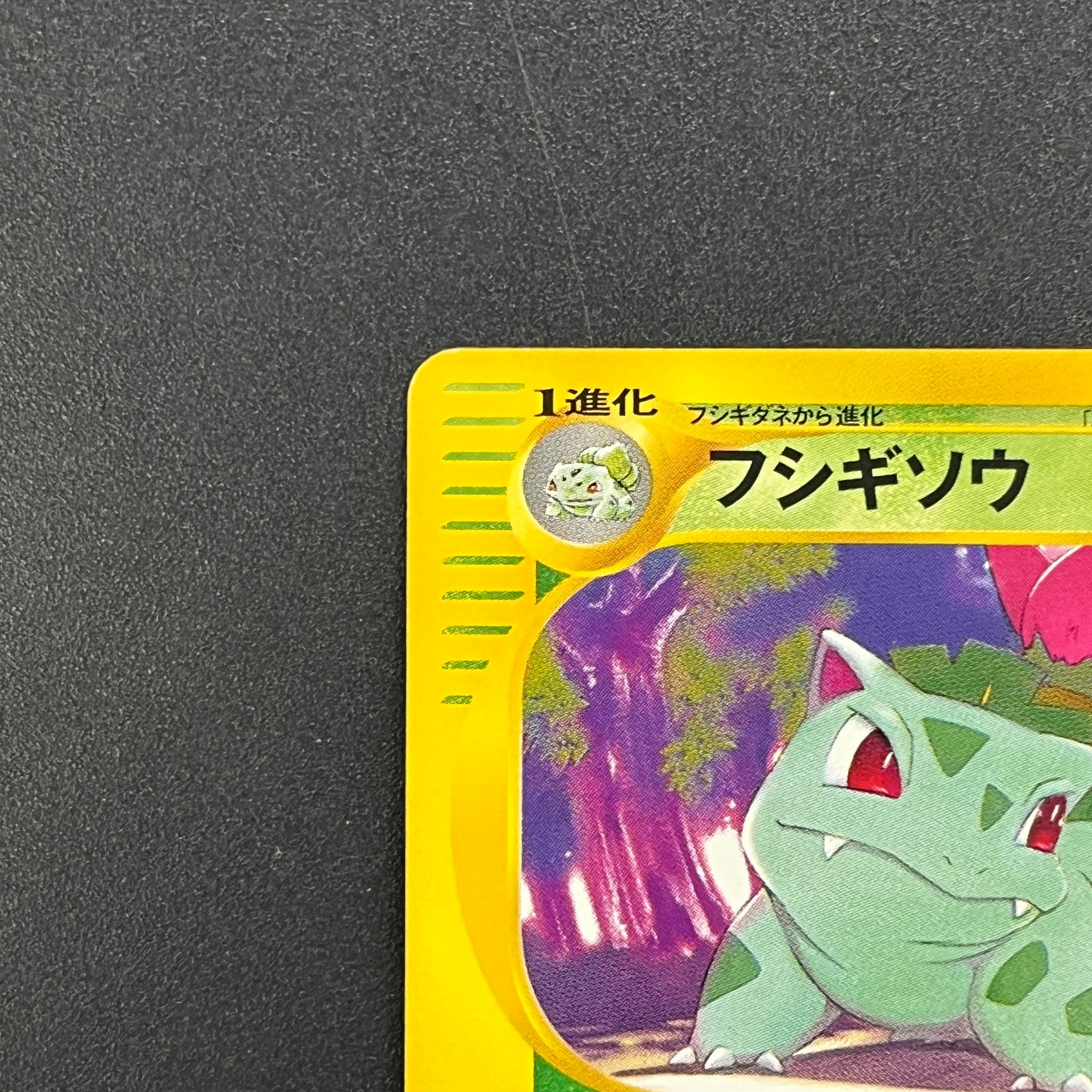 Ivysaur 001/048 Web 1st Ed Japanese Pokemon Card