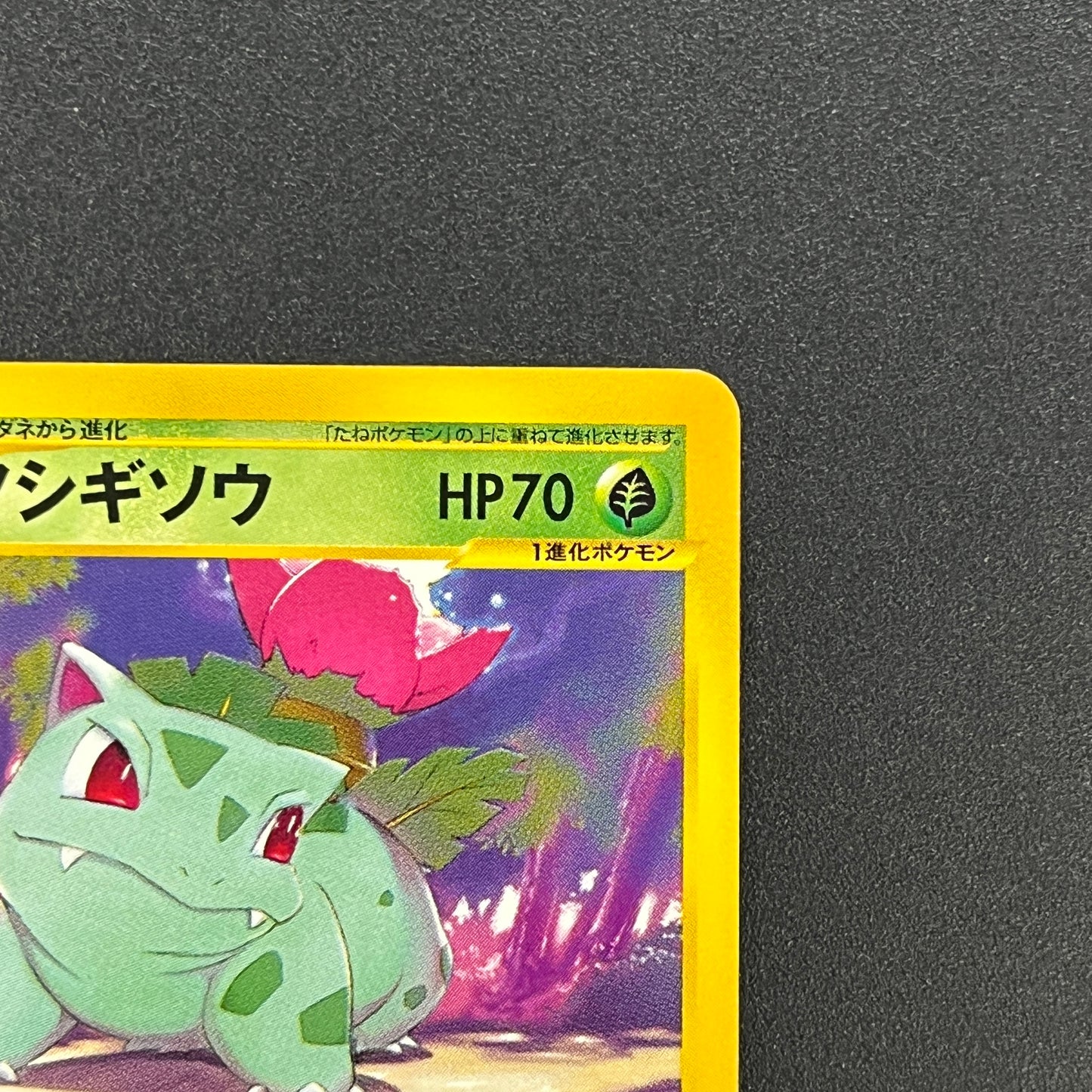 Ivysaur 001/048 Web 1st Ed Japanese Pokemon Card