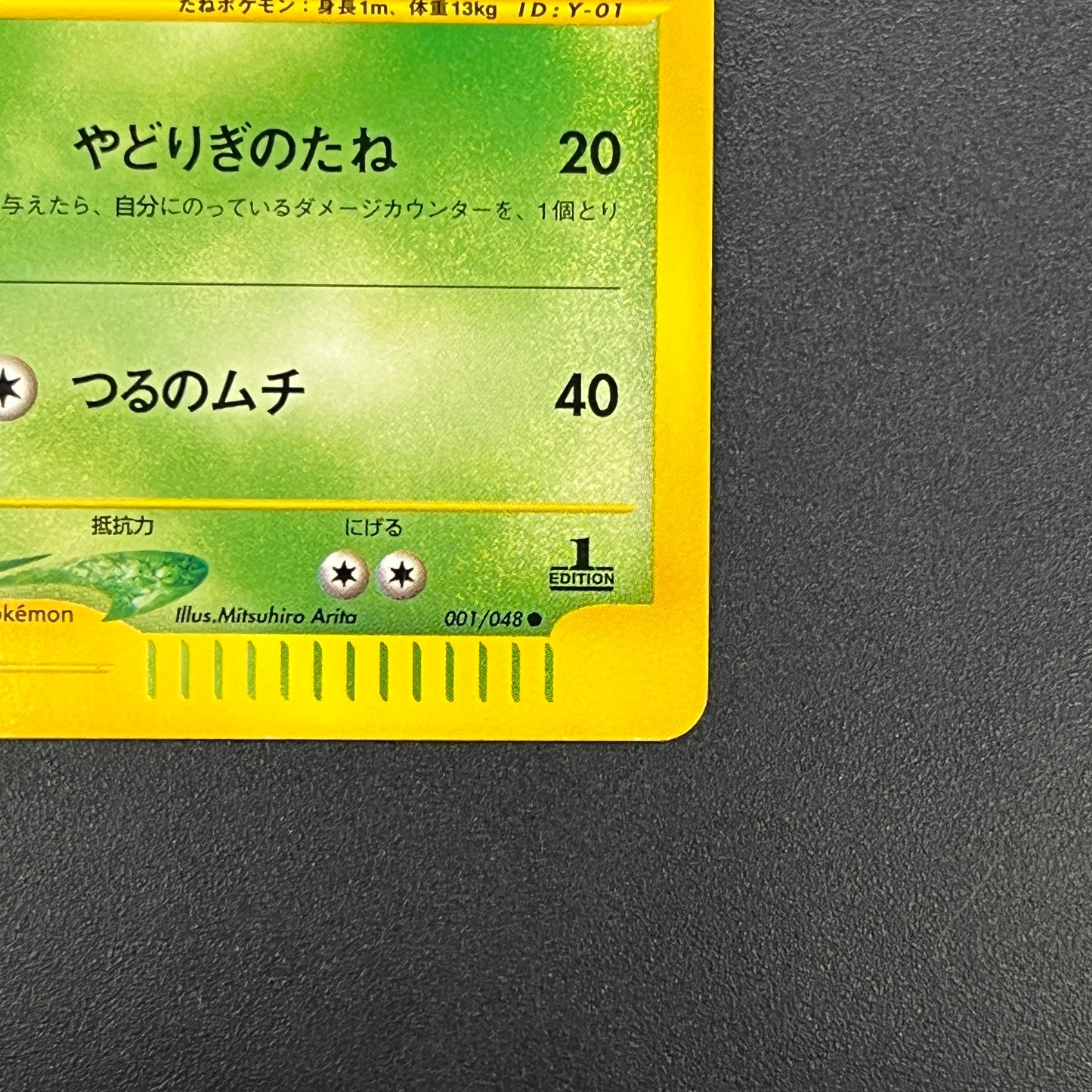 Ivysaur 001/048 Web 1st Ed Japanese Pokemon Card