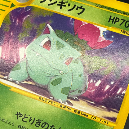 Ivysaur 001/048 Web 1st Ed Japanese Pokemon Card