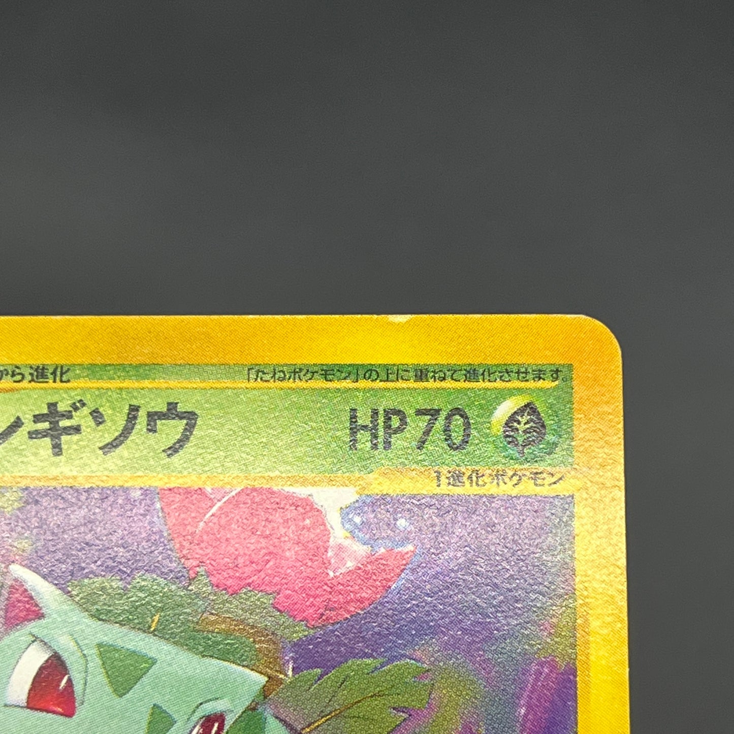 Ivysaur 001/048 Web 1st Ed Japanese Pokemon Card