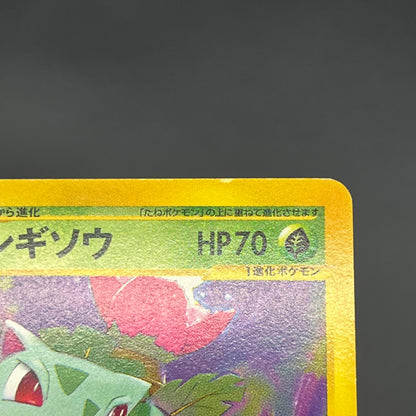 Ivysaur 001/048 Web 1st Ed Japanese Pokemon Card