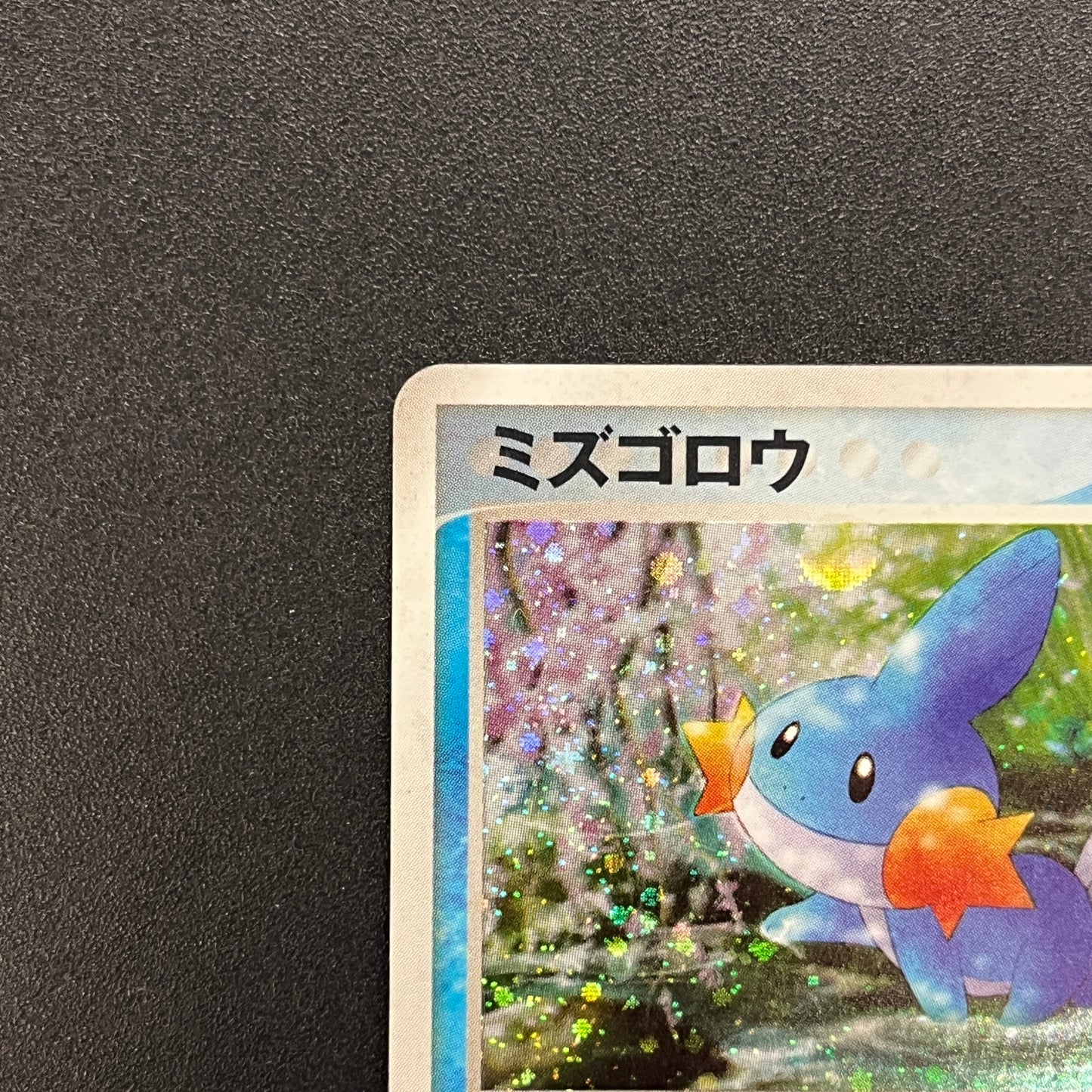 Mudkip 020/ADV-P Promo 7-Eleven Fair 2003 Pokemon Card
