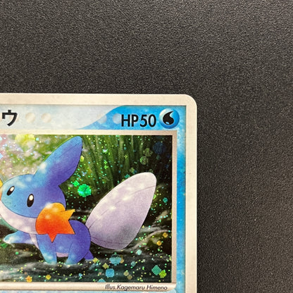 Mudkip 020/ADV-P Promo 7-Eleven Fair 2003 Pokemon Card