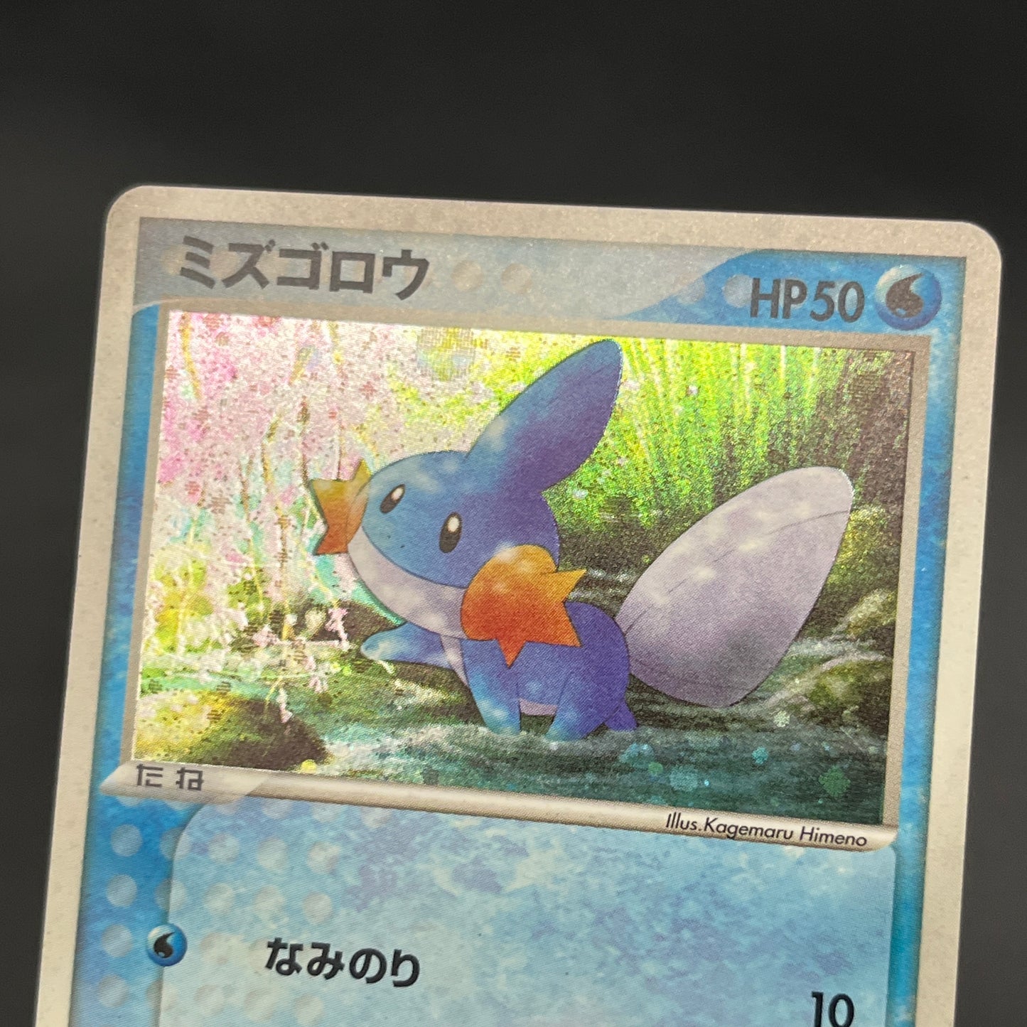 Mudkip 020/ADV-P Promo 7-Eleven Fair 2003 Pokemon Card