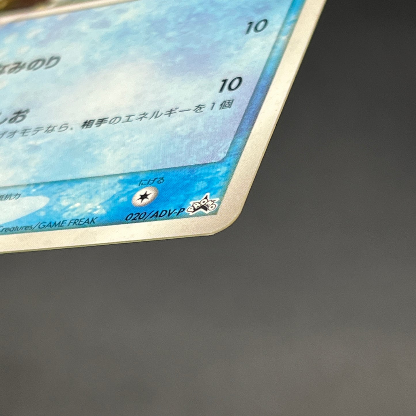 Mudkip 020/ADV-P Promo 7-Eleven Fair 2003 Pokemon Card