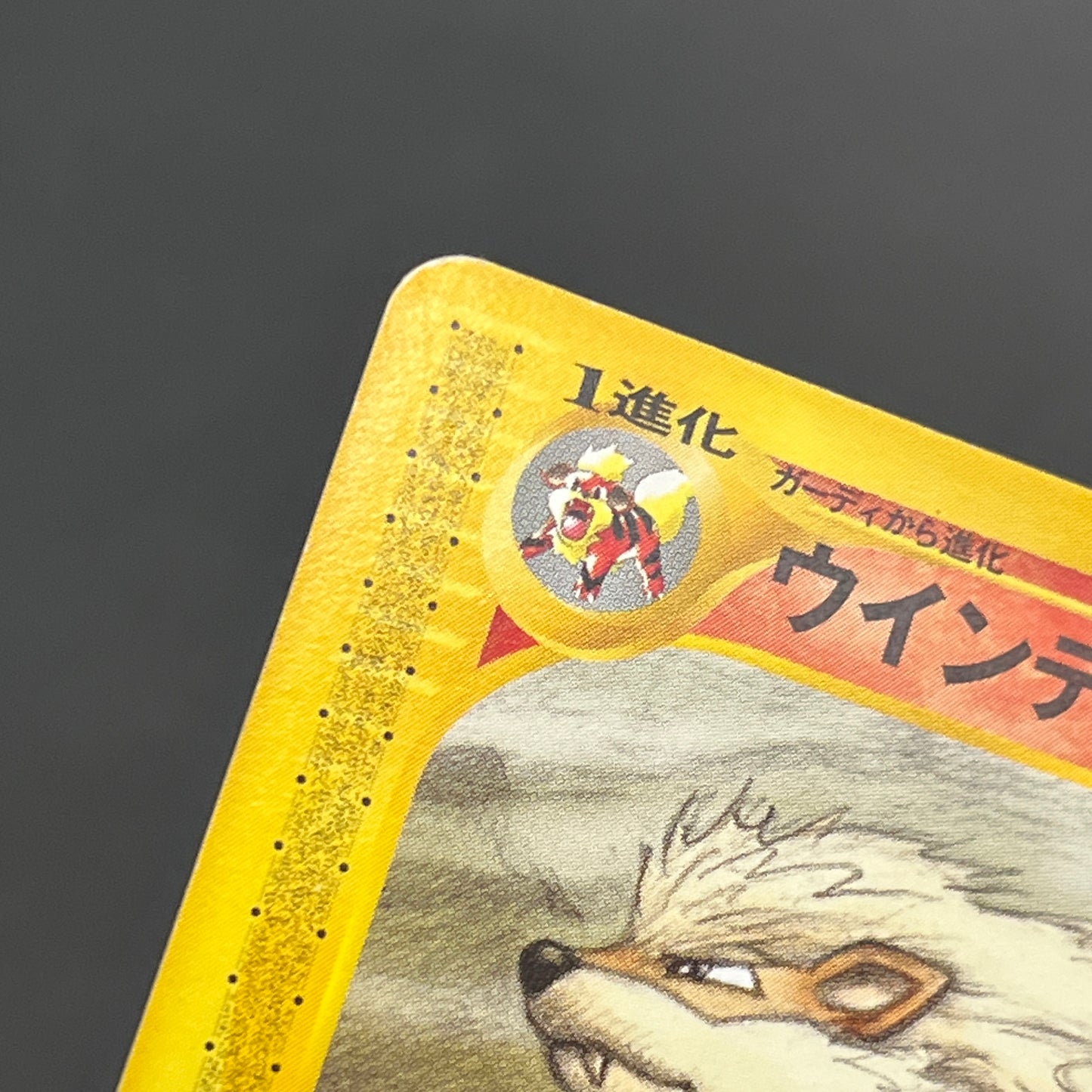 Arcanine 016/088 e Mysterious Mountains Pokemon Card