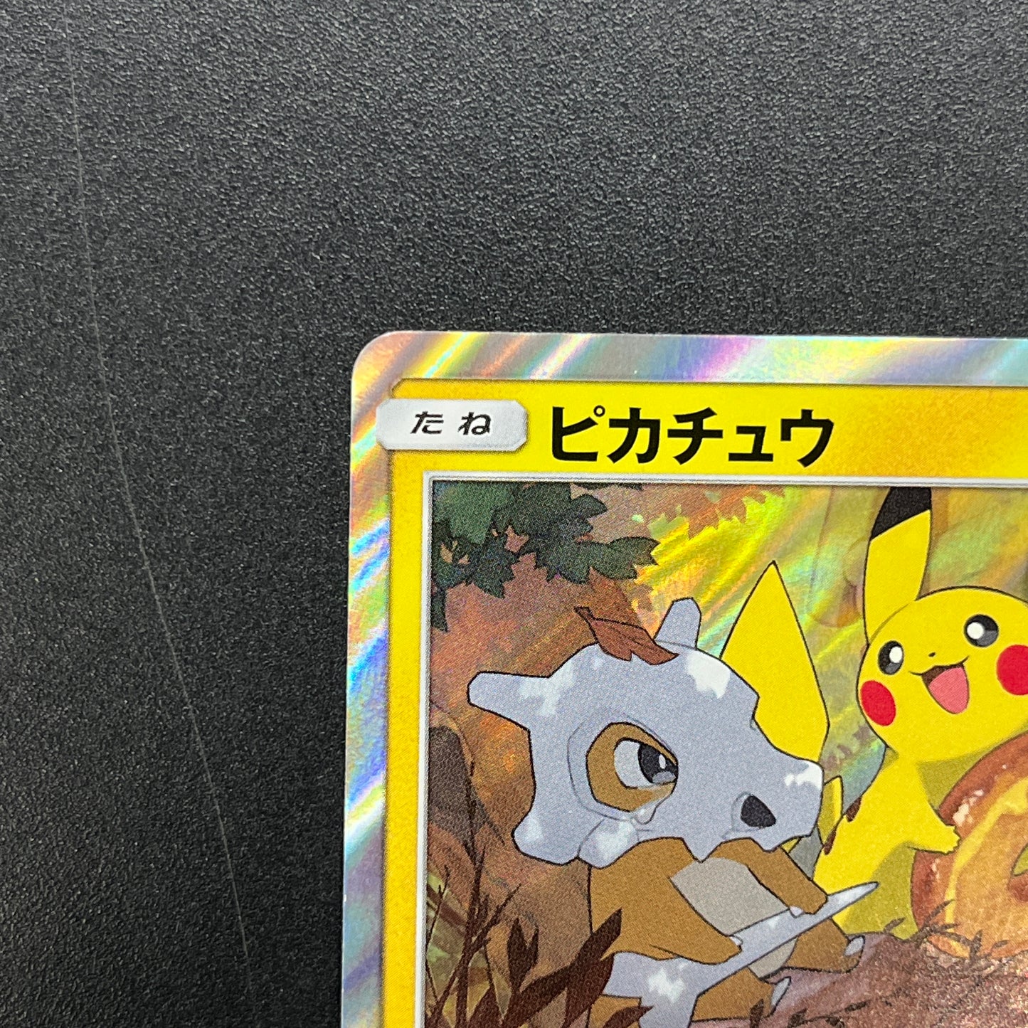 Pikachu 200/SM-P Friendry Shop Promo Pokemon Card