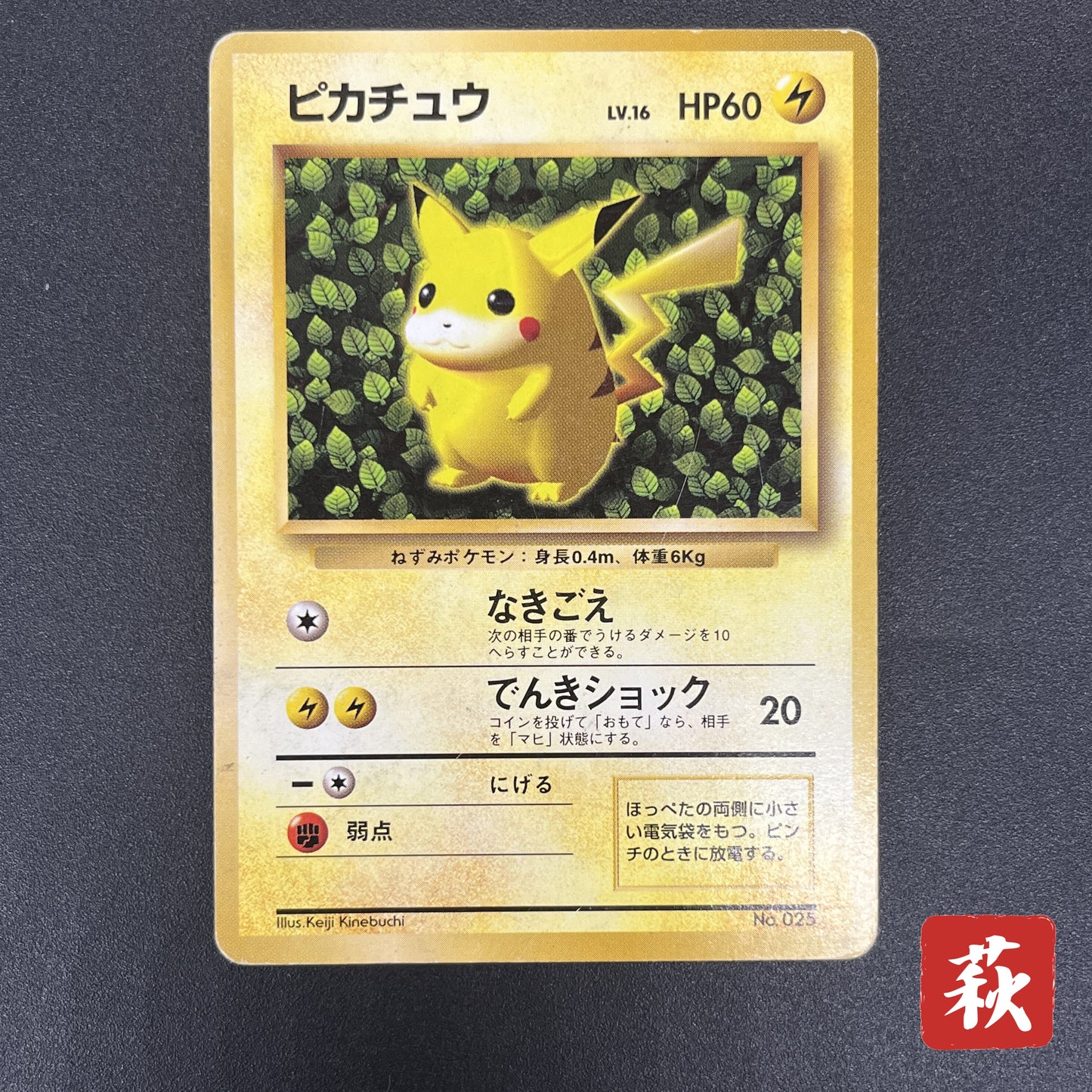 Ivy Pikachu Keiji Kinebuchi How to Play Non Glossy Card