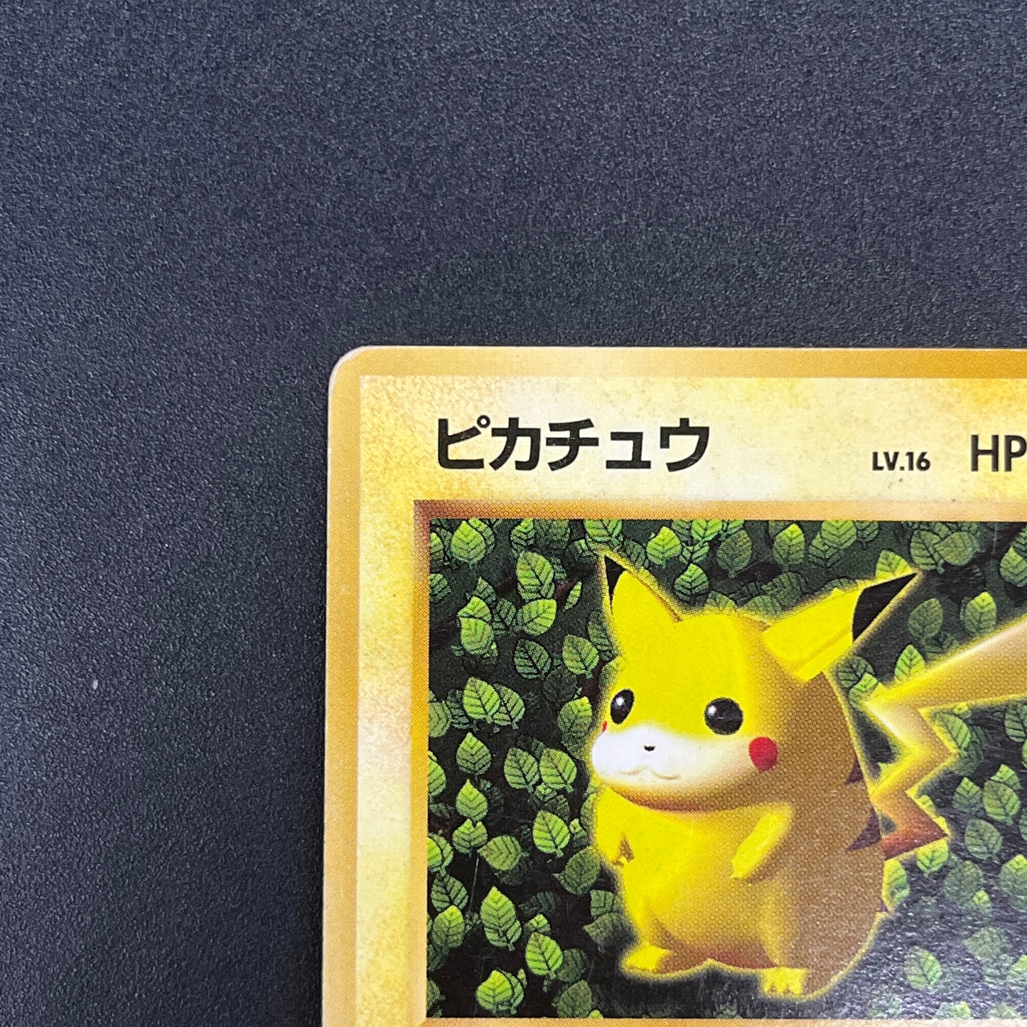 Ivy Pikachu Keiji Kinebuchi How to Play Non Glossy Card