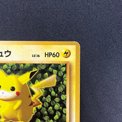 Ivy Pikachu Keiji Kinebuchi How to Play Non Glossy Card