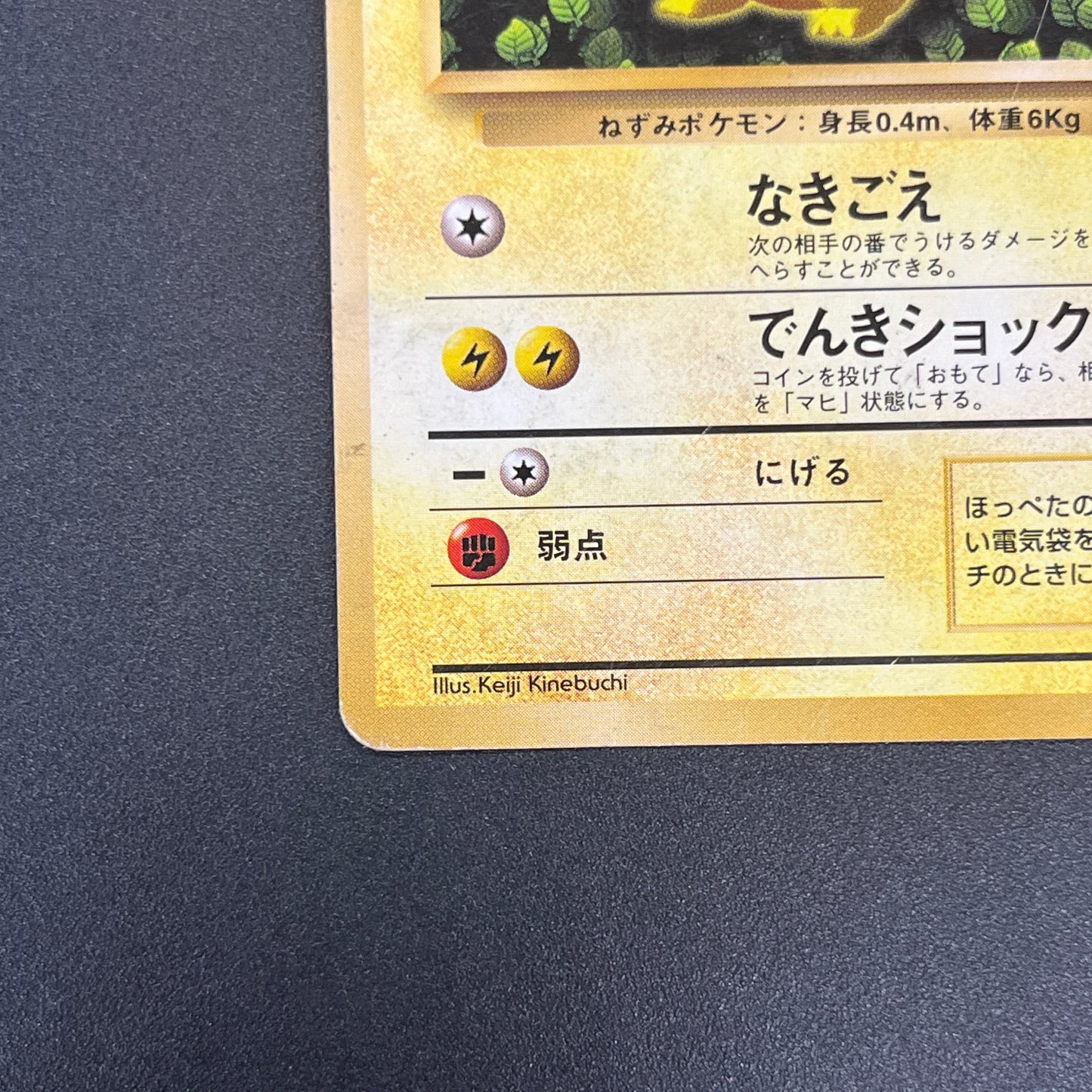 Ivy Pikachu Keiji Kinebuchi How to Play Non Glossy Card