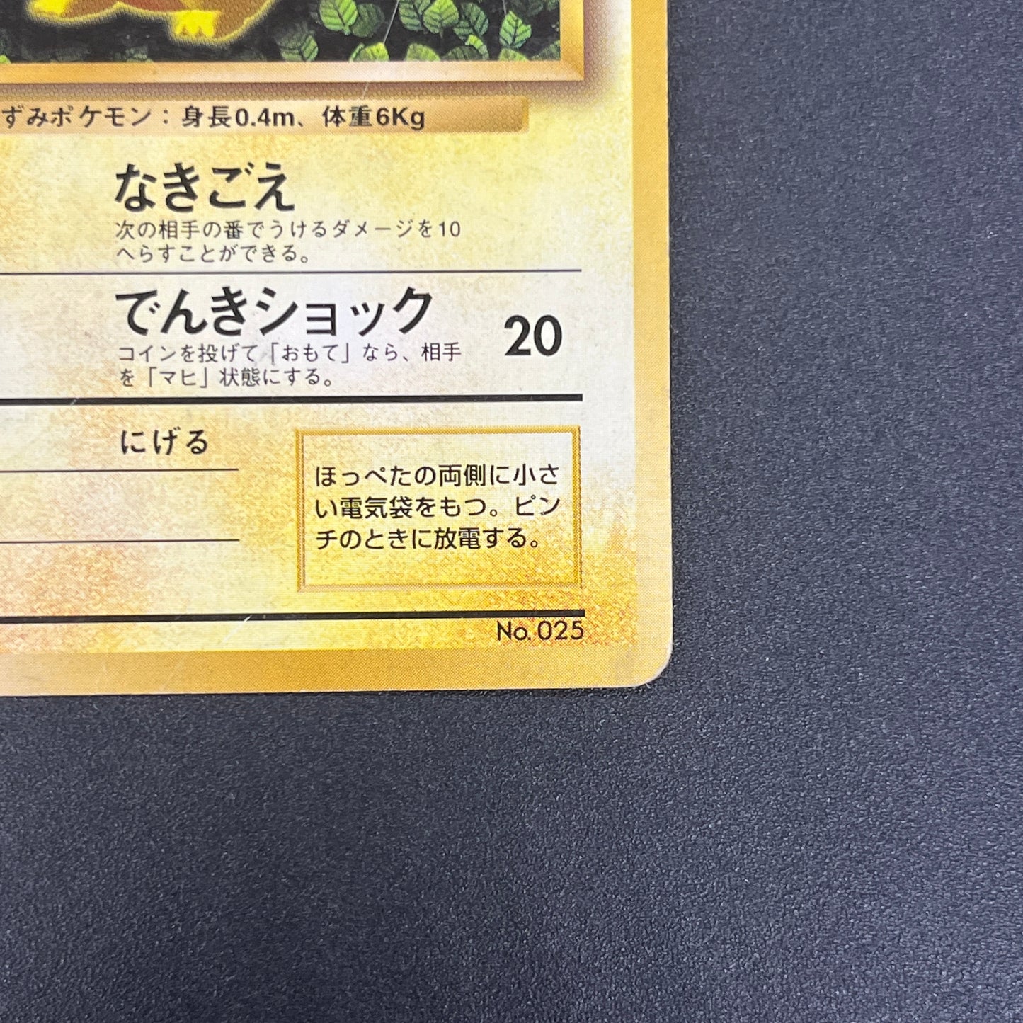 Ivy Pikachu Keiji Kinebuchi How to Play Non Glossy Card