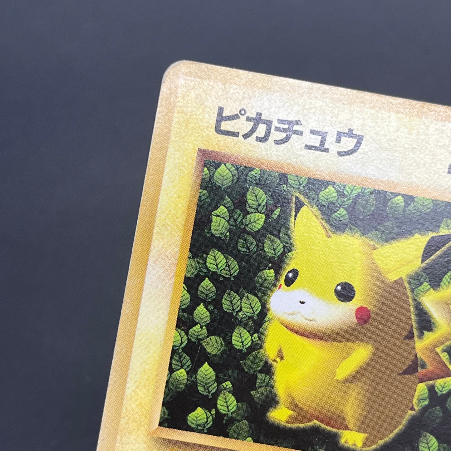 Ivy Pikachu Keiji Kinebuchi How to Play Non Glossy Card