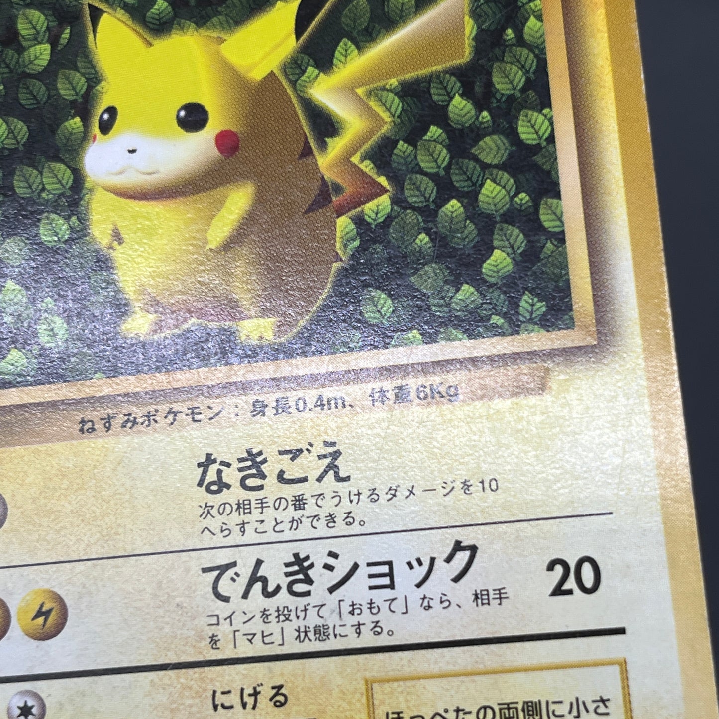 Ivy Pikachu Keiji Kinebuchi How to Play Non Glossy Card