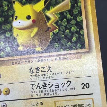 Ivy Pikachu Keiji Kinebuchi How to Play Non Glossy Card