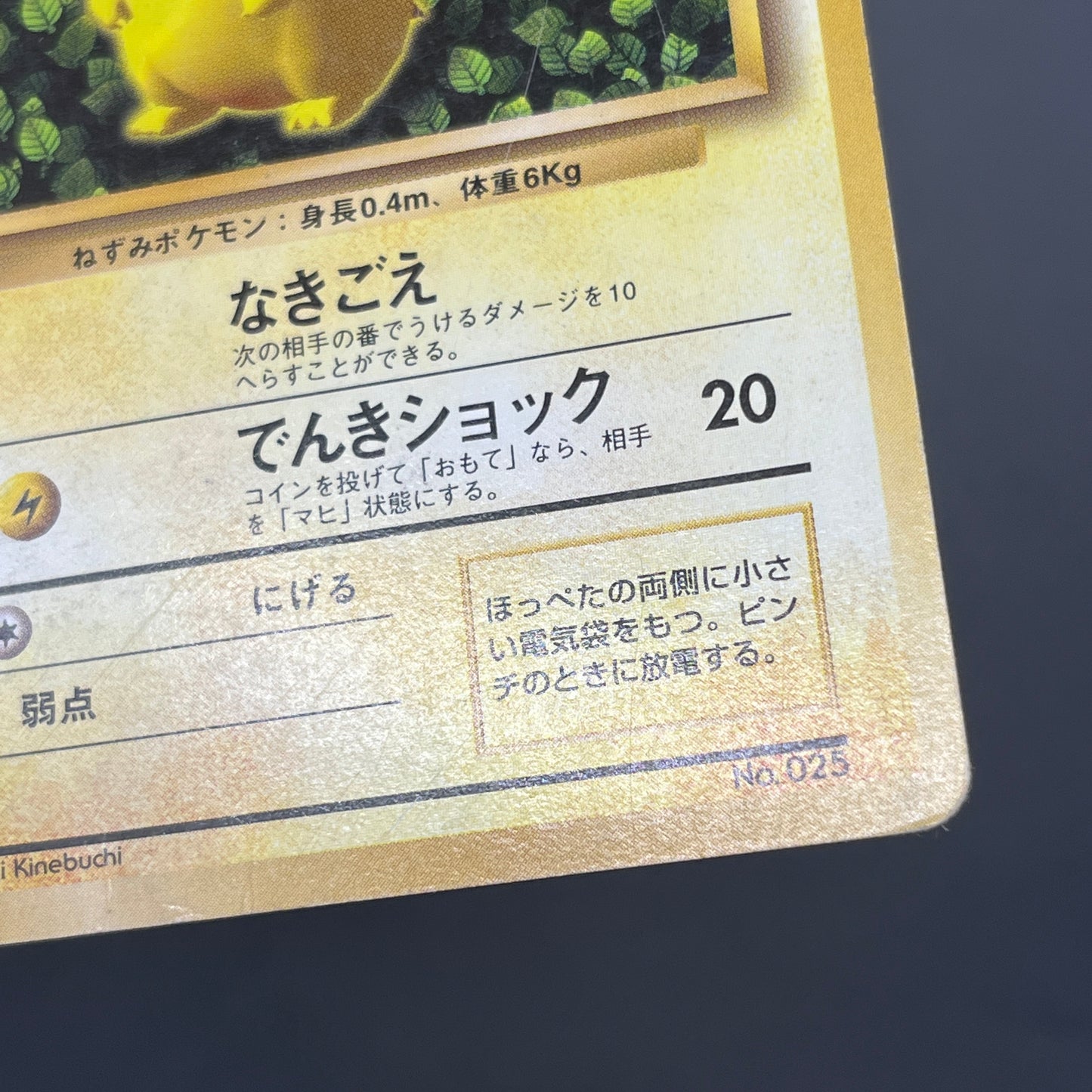 Ivy Pikachu Keiji Kinebuchi How to Play Non Glossy Card