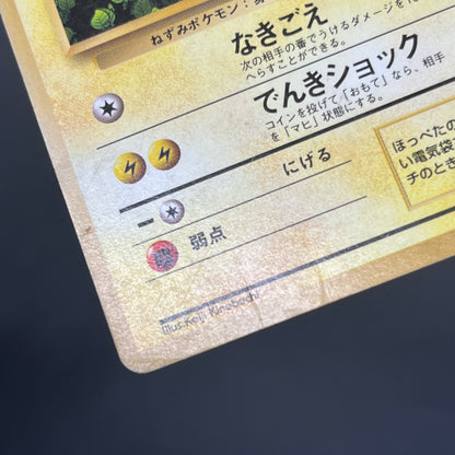 Ivy Pikachu Keiji Kinebuchi How to Play Non Glossy Card
