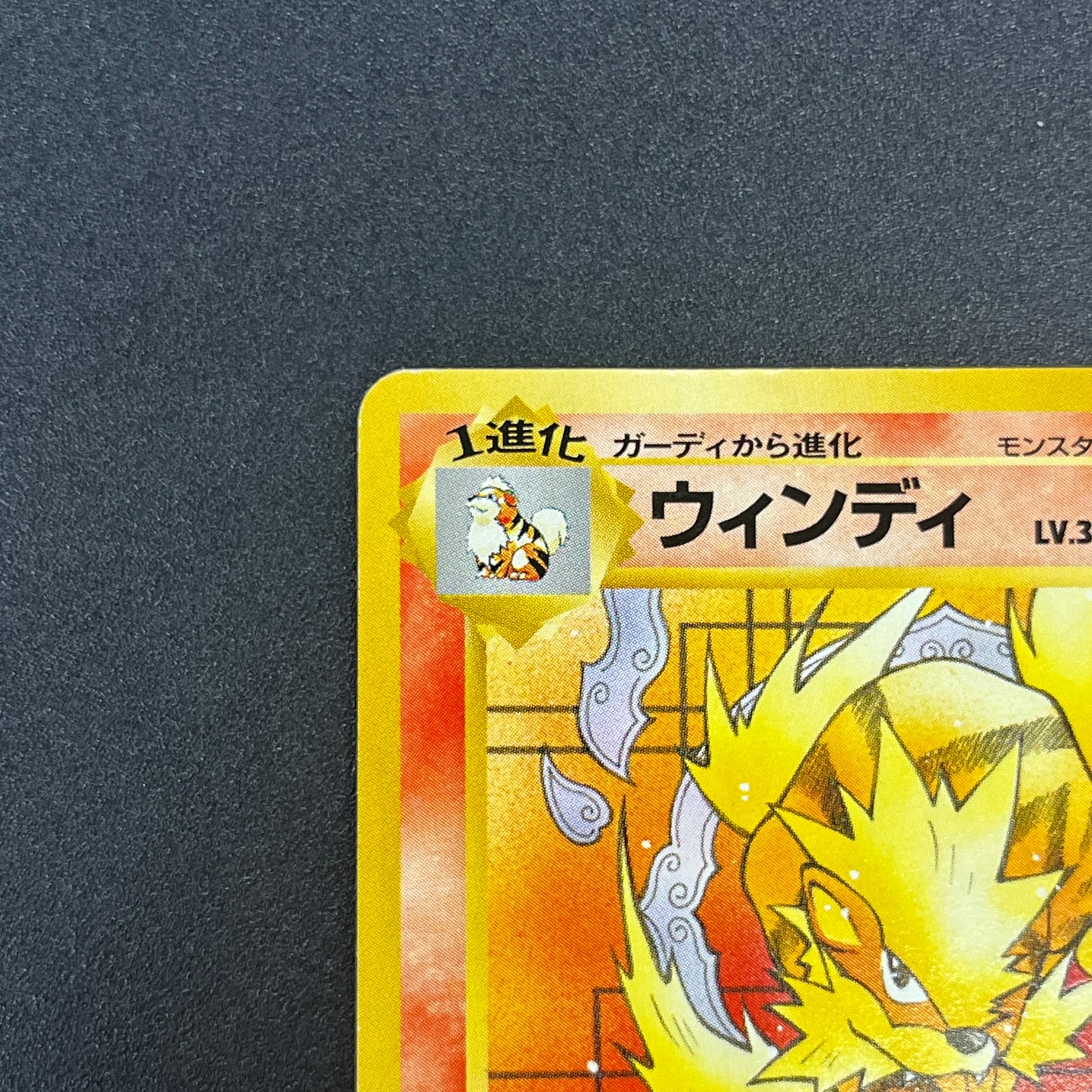 Arcanine No. 059 Intro Pack Squirtle Japanese Pokémon Card