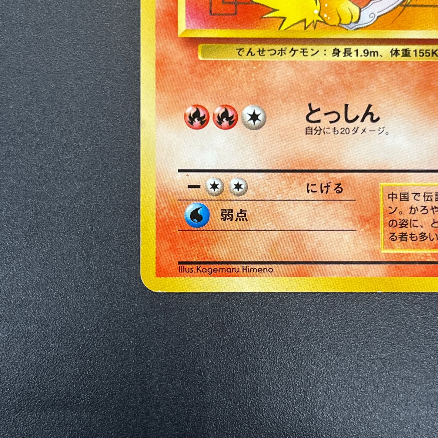 Arcanine No. 059 Intro Pack Squirtle Japanese Pokémon Card