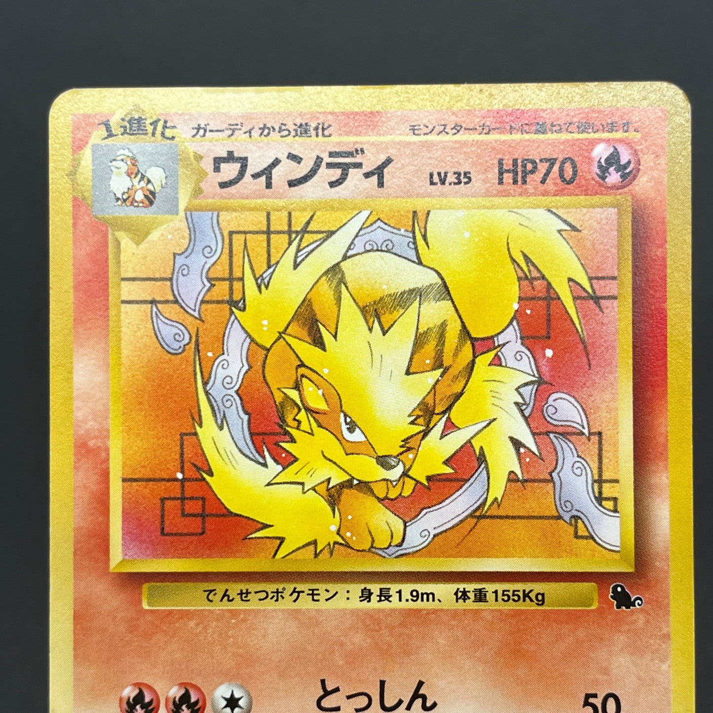 Arcanine No. 059 Intro Pack Squirtle Japanese Pokémon Card