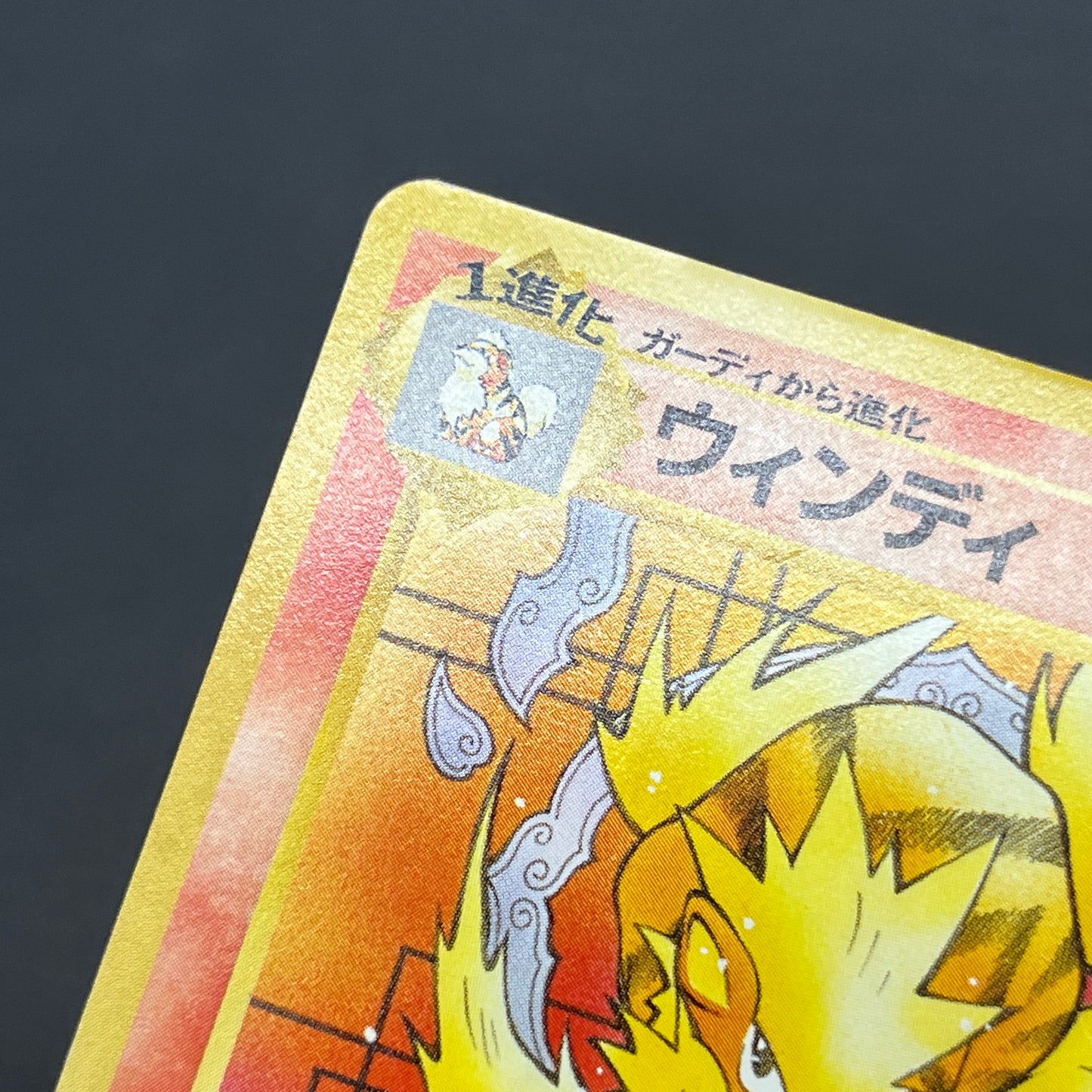 Arcanine No. 059 Intro Pack Squirtle Japanese Pokémon Card