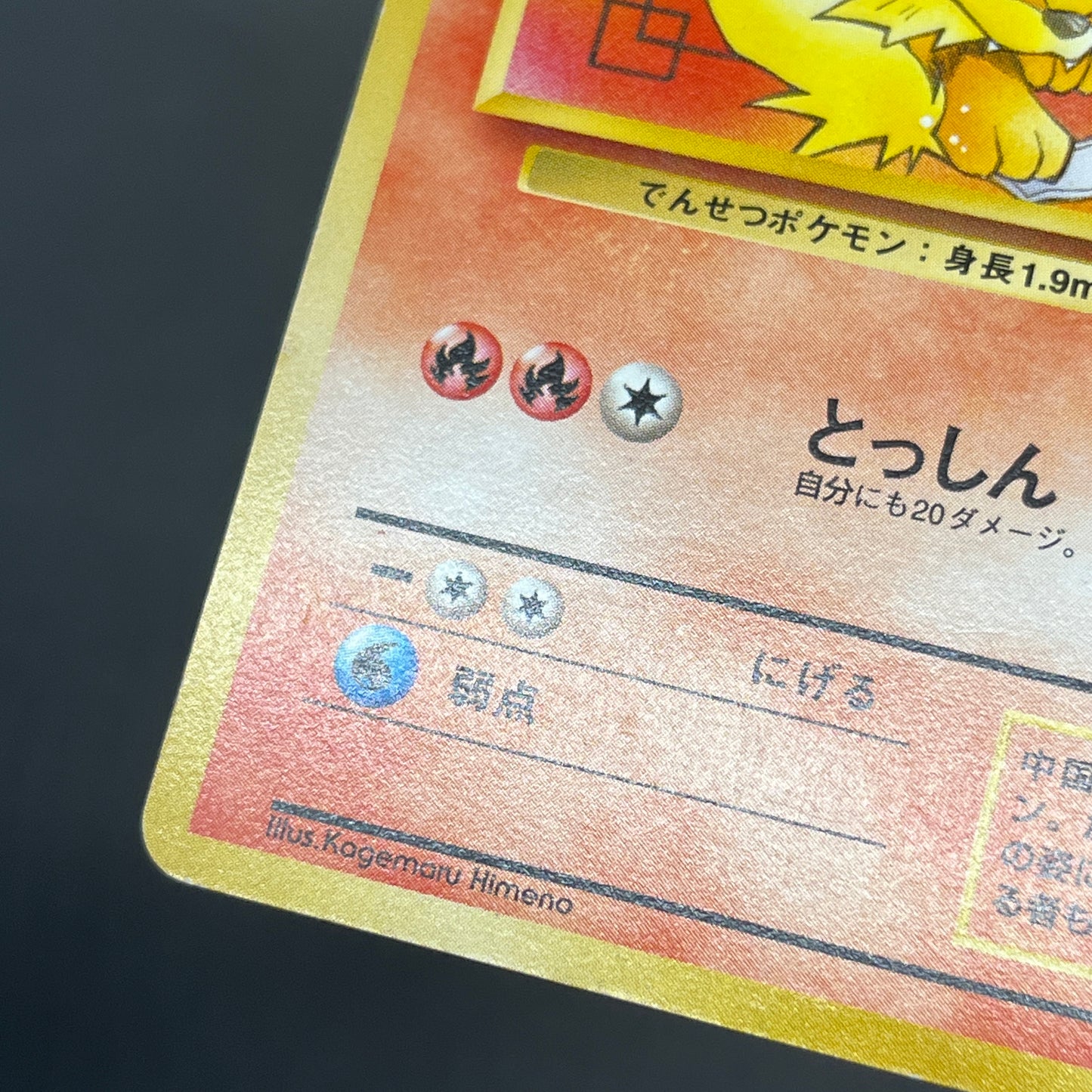 Arcanine No. 059 Intro Pack Squirtle Japanese Pokémon Card
