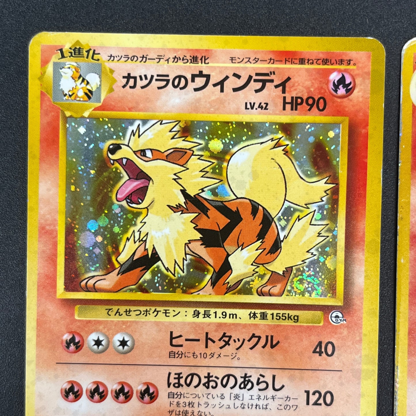 Light Arcanine No. 059 Blain's Arcanine Holo Pokémon Card