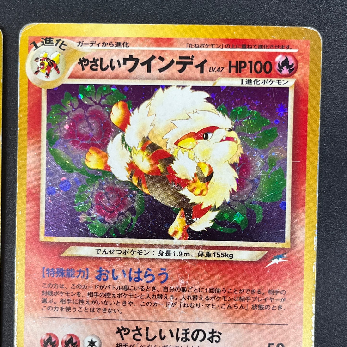 Light Arcanine No. 059 Blain's Arcanine Holo Pokémon Card