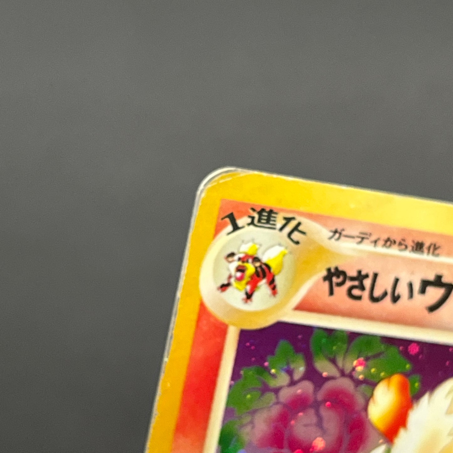 Light Arcanine No. 059 Blain's Arcanine Holo Pokémon Card