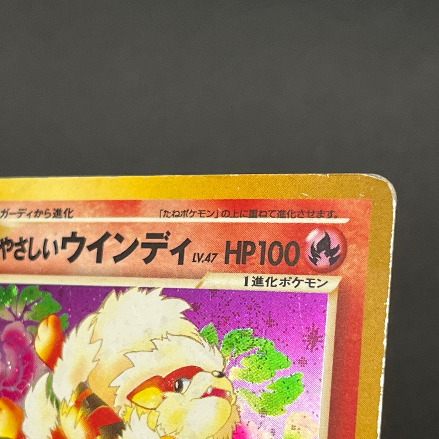 Light Arcanine No. 059 Blain's Arcanine Holo Pokémon Card