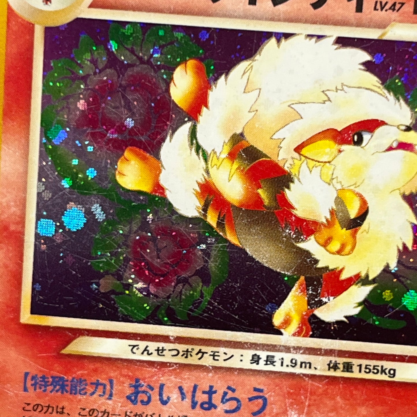 Light Arcanine No. 059 Blain's Arcanine Holo Pokémon Card