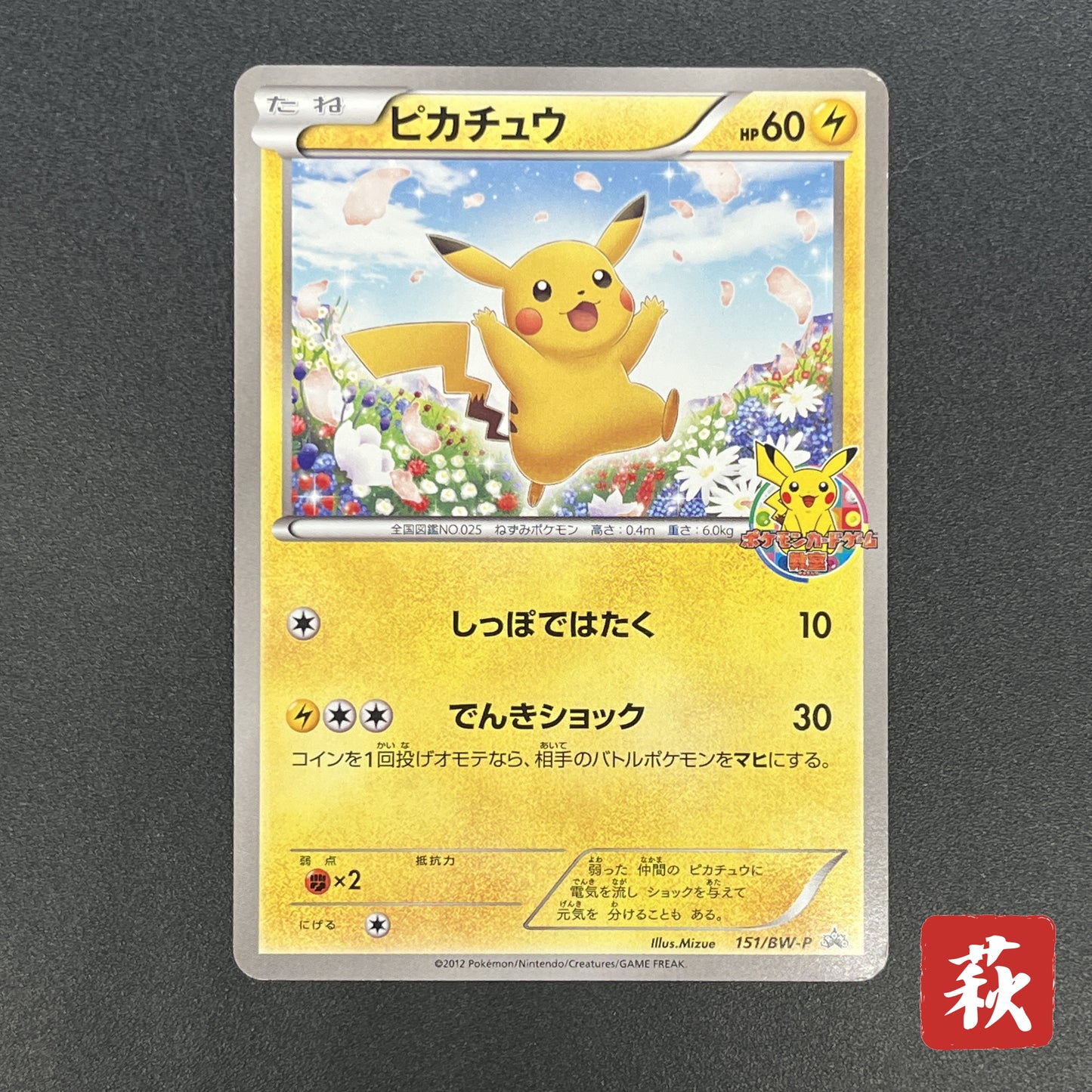 Pikachu 151/BW-P Promo Card Game Classroom Pokemon Card
