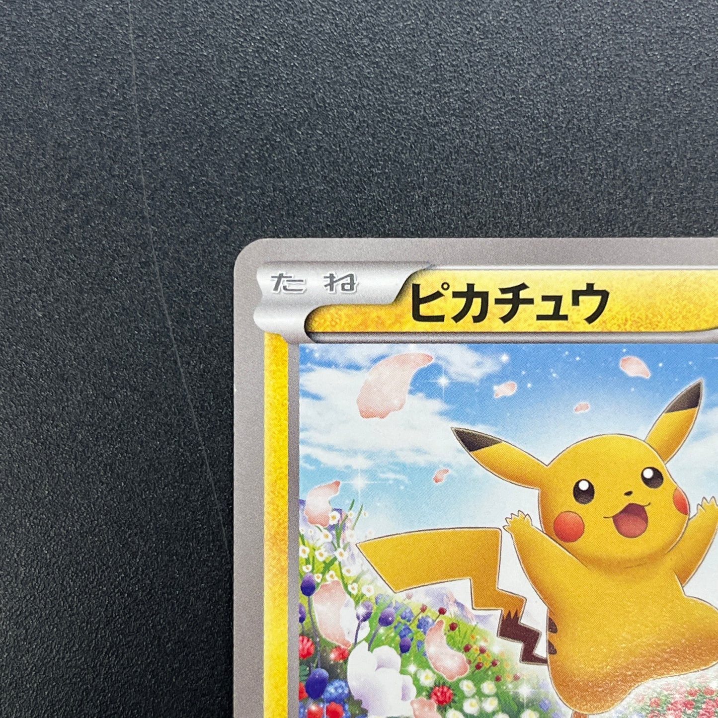 Pikachu 151/BW-P Promo Card Game Classroom Pokemon Card