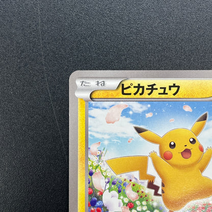 Pikachu 151/BW-P Promo Card Game Classroom Pokemon Card