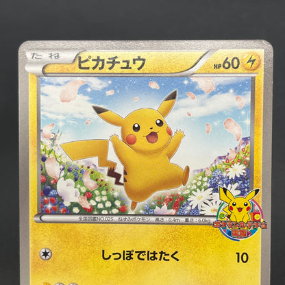Pikachu 151/BW-P Promo Card Game Classroom Pokemon Card