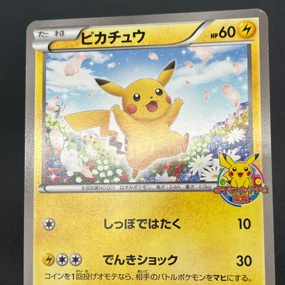 Pikachu 151/BW-P Promo Card Game Classroom Pokemon Card
