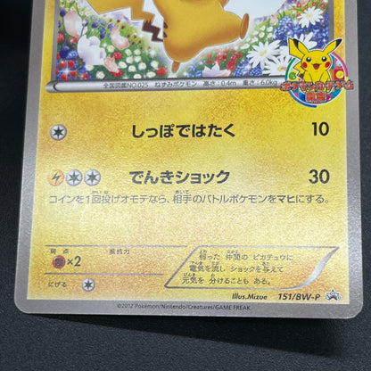 Pikachu 151/BW-P Promo Card Game Classroom Pokemon Card