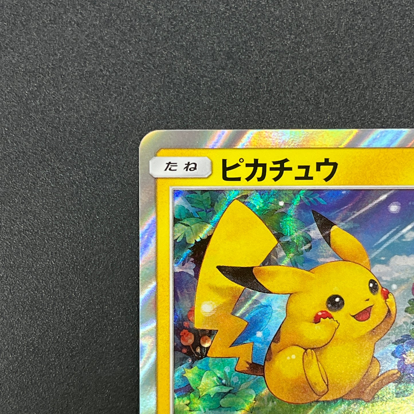 Pikachu 179/SM-P Holo Friendly Shop Promo Pokemon Card