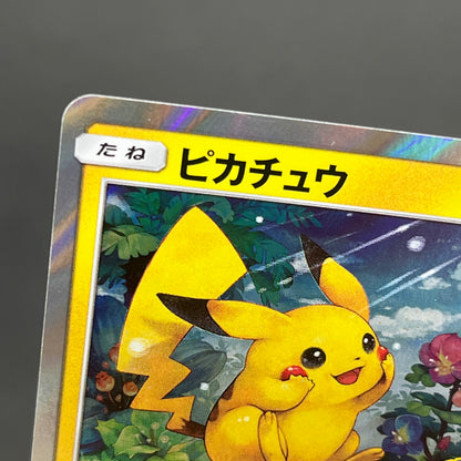 Pikachu 179/SM-P Holo Friendly Shop Promo Pokemon Card