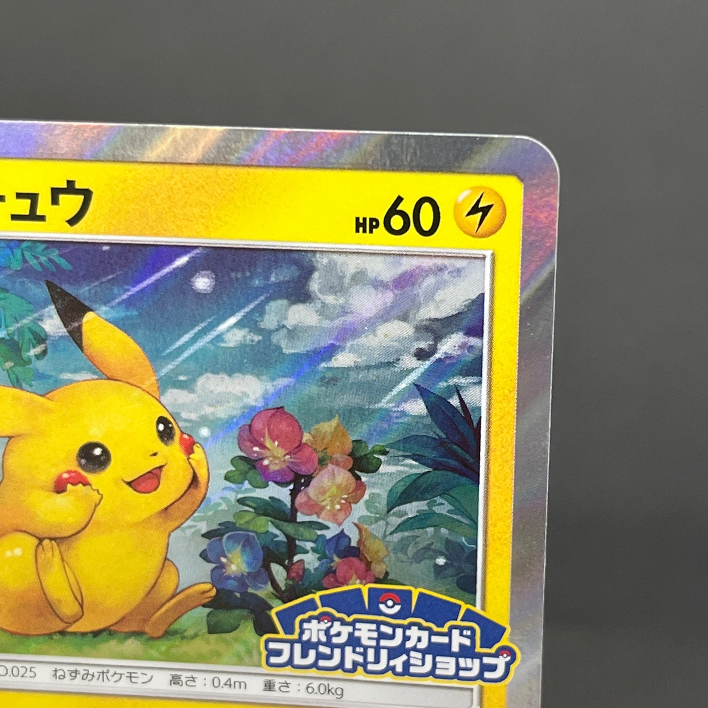 Pikachu 179/SM-P Holo Friendly Shop Promo Pokemon Card