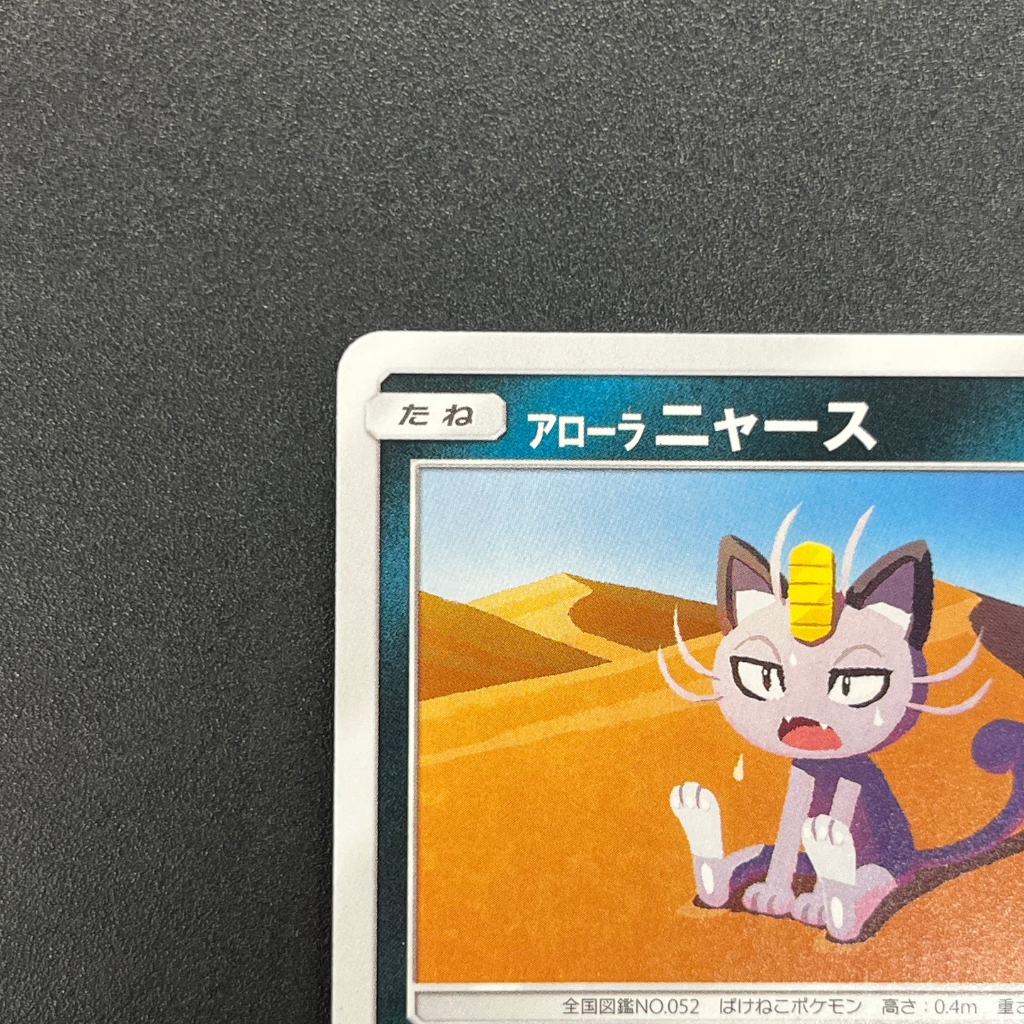 Alolan Meowth 255/SM-P Promo Gym Japanese Pokemon Card
