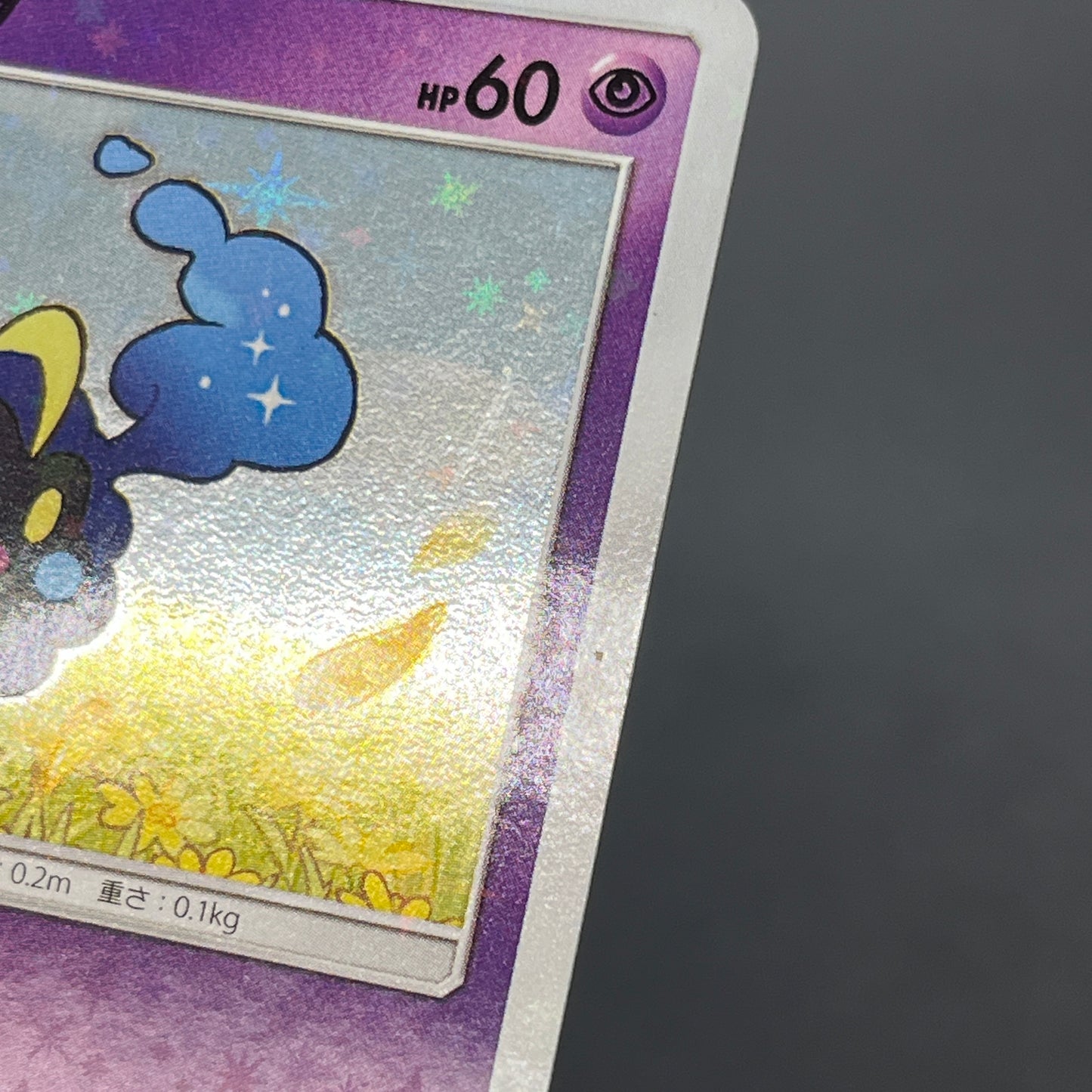 Cosmog 081/SM-P Lillie & Cosmog Special Box Pokemon Card