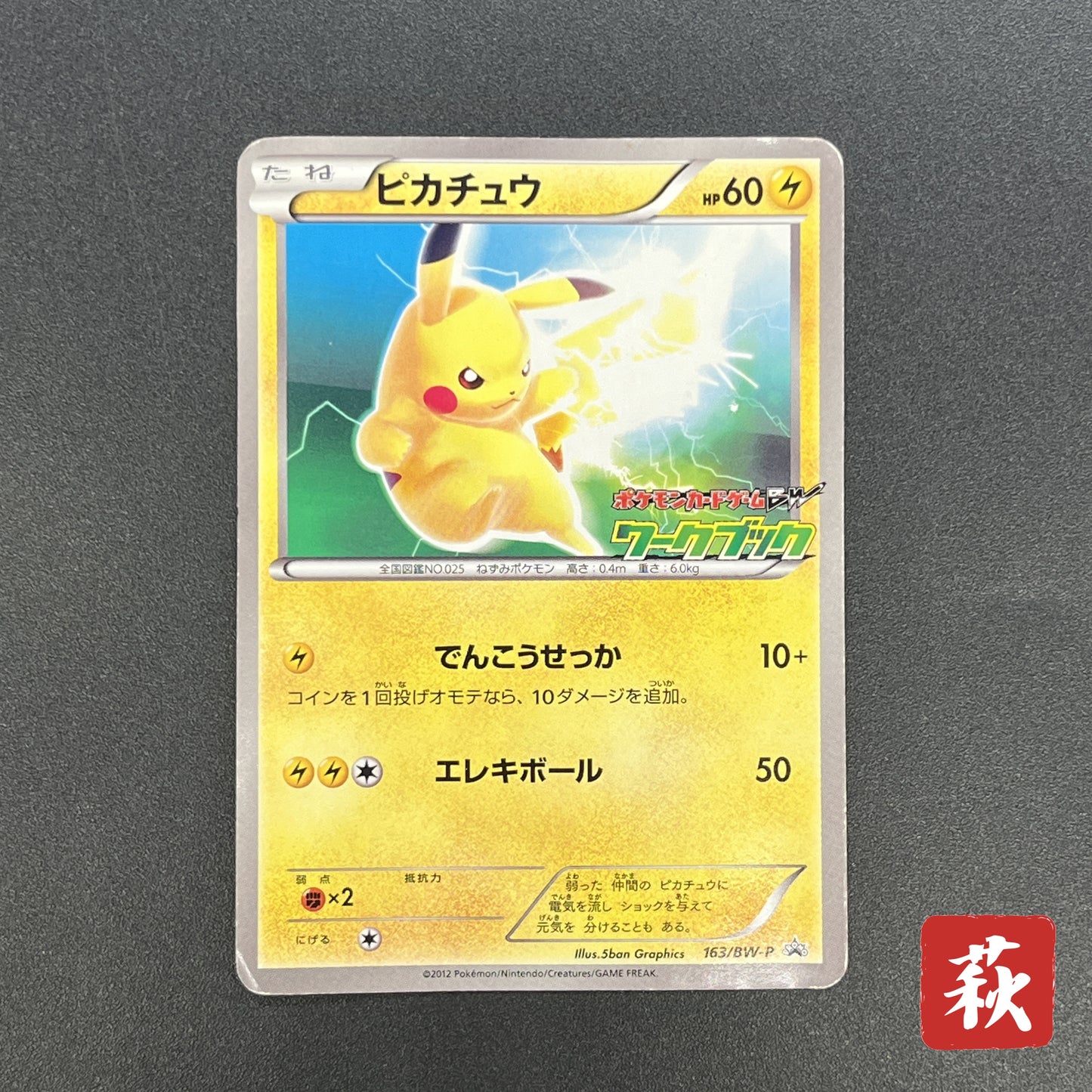 Pikachu 163/BW-P National Illustrated Encyclopedia Card