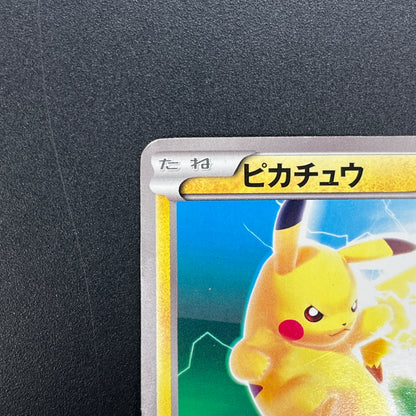 Pikachu 163/BW-P National Illustrated Encyclopedia Card